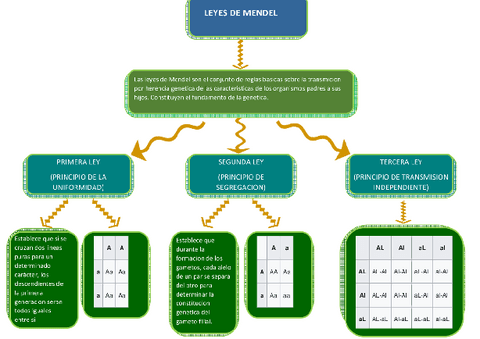 cf0e7137a44715ad6c61ef1ee1a557f3.pdf