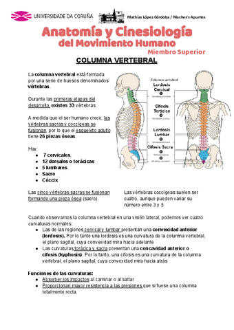 Anatomia-Miembro-Superior-1ra-Parte.pdf