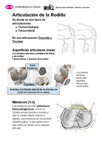 Anatomia-Miembro-Inferior-2da-Parte.pdf