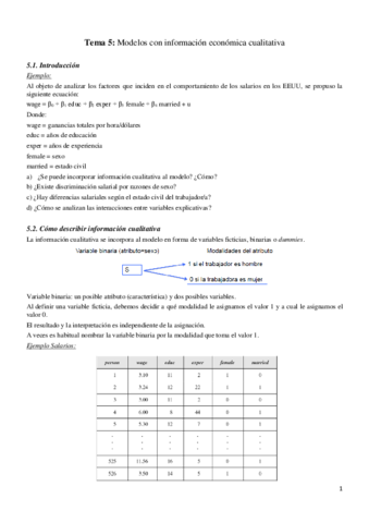 Tema 5 ECONOMETRÍA.pdf