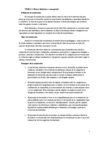 resumen-orientacion-15-pags.pdf