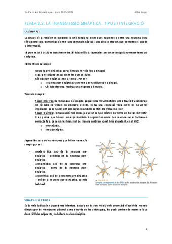 Tema-2.3.-La-transmissio-sinaptica-tipus-i-integracio.pdf