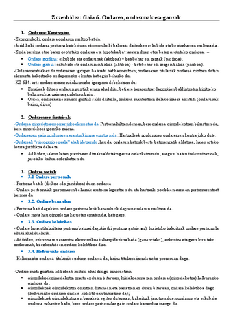 Zuzenbidea-6-gaia.pdf