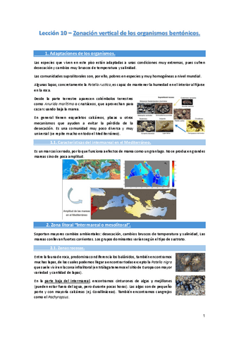 Leccion-10-Zonacion-vertical-de-los-organismos-bentonicos..pdf