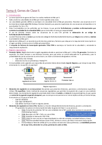 Tema 4 - Estructura de genes de Clase II.pdf