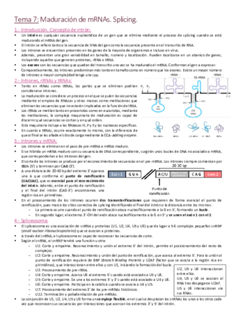Tema 7 - Maduración de mRNAs. Splicing.pdf