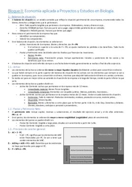Bloque II - Pedro Piedras.pdf