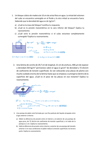Ejercicios-Estatica-De-Fluidos-Tema-1.pdf
