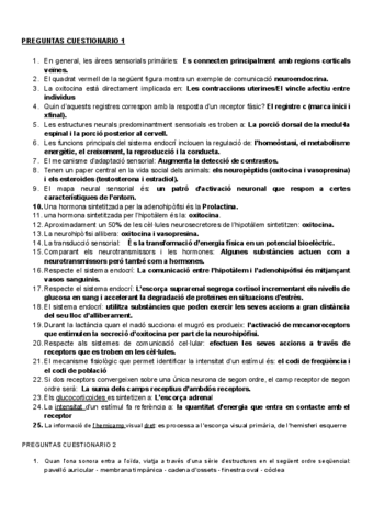 Cuestionario-1.pdf