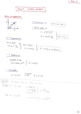 APUNTES - Tema 1 apuntes y problemas.pdf
