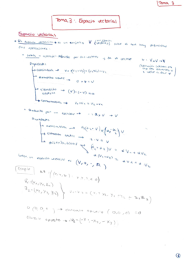 APUNTES - Tema 3 apuntes y problemas.pdf