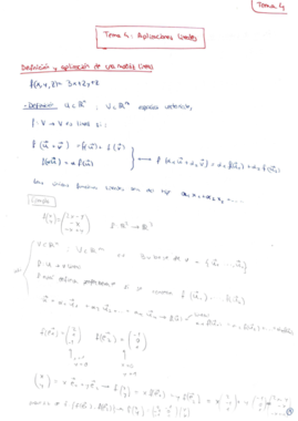 APUNTES - Tema 4 apuntes y problemas.pdf