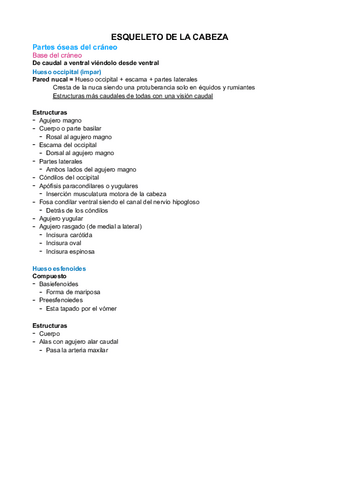 Esqueleto-de-la-cabeza.pdf