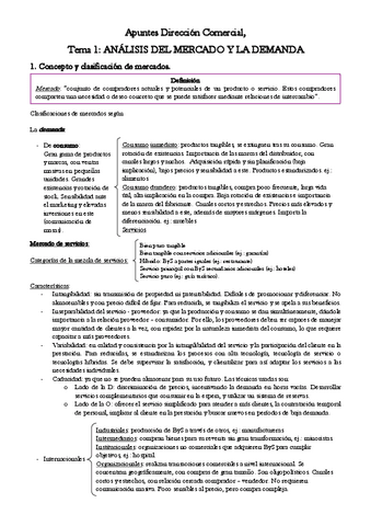 Apuntes-T1-DC.pdf