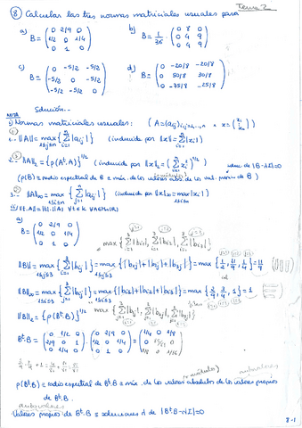 ProblAN.Tema-2.2.pdf