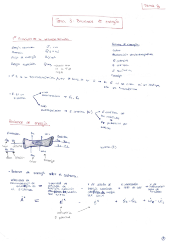 APUNTES - Tema 3.pdf