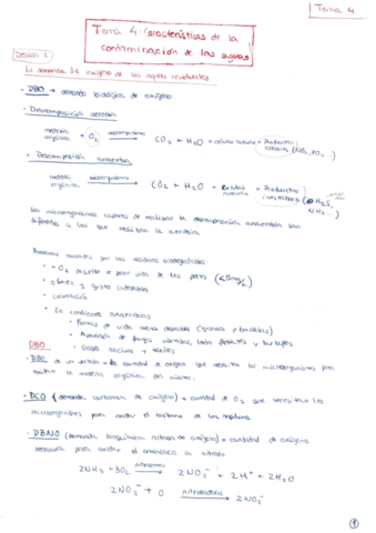 APUNTES - Tema 4.pdf