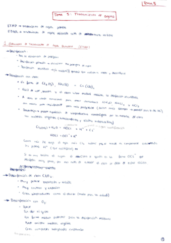 APUNTES - Tema 5.pdf