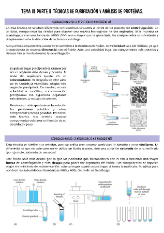 biologia-molecular-T3-parte-2.pdf