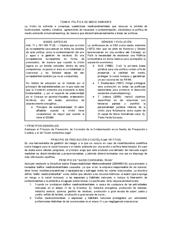 TEMA-5.-POLITICA-DE-MEDIO-AMBIENTE.pdf