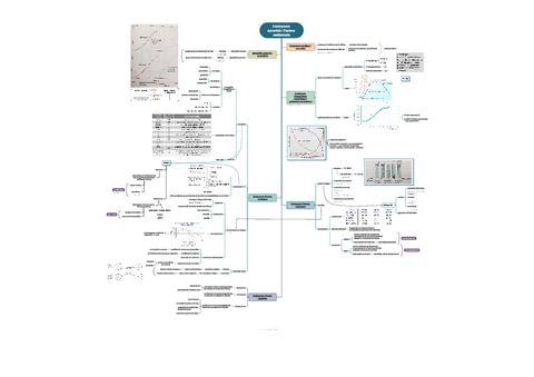 1.2.-Creixement-microbia-i-Factors-ambientals.pdf