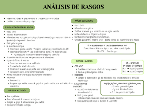 TEMA4RESUMEN.pdf