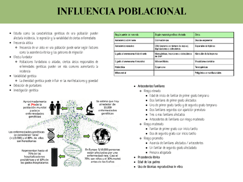 TEMA5RESUMEN.pdf