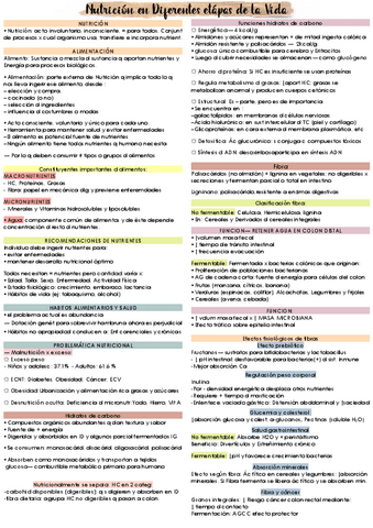 RESUMEN-NUTRICION-EN-DIFERENTES-ETAPAS-DE-VIDA.pdf