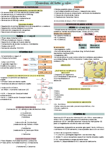 RESUMEN-DE-METABOLISMO-FOSFOCALCICO-UABP-8.pdf