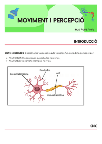 M10-UF2-NF1-s.nervios.pdf