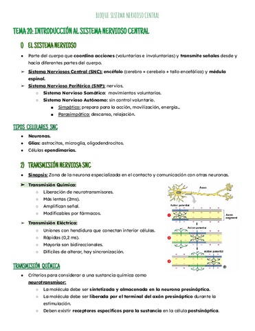 Temas 20-23: SNC.pdf