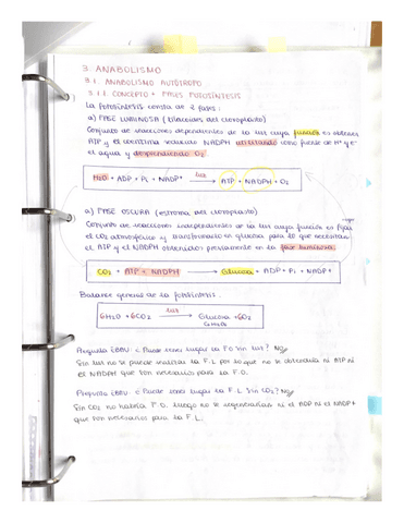 TEMA-METABOLISMO-Anabolismo.pdf