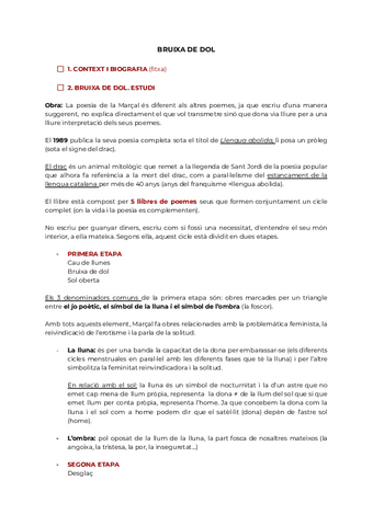Guio-temari-BRUIXA-DE-DOL.pdf