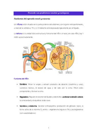 Tema-5.-Paciente-con-problemas-renales-y-urologicos.pdf