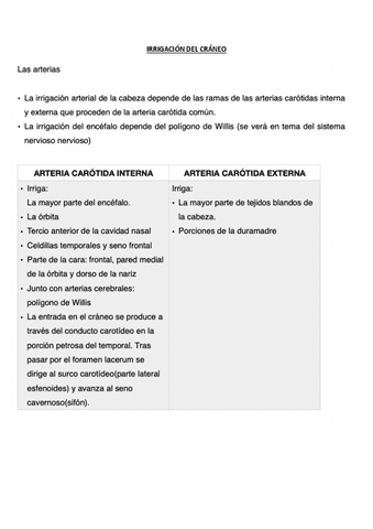 IRRIGACION-DEL-CRANEO.pdf