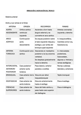 IRRIGACION-E-INERVACION-DEL-TRONCO.pdf