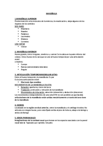 MANDIBULA.pdf