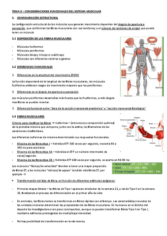 TEMA-3-KINESIOLOGIA.pdf