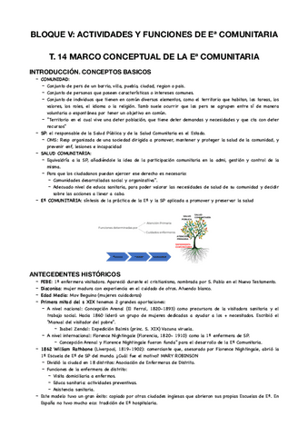 T14-comunitaria.pdf