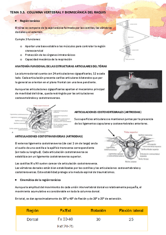 TEMA-3.3.-Columna-vertebral-y-biomecanica-del-raquis.pdf