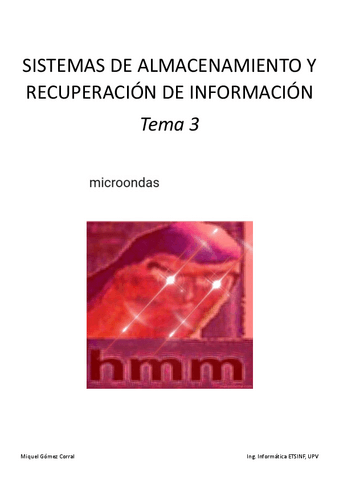 SAR-T3.pdf