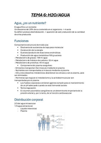 TEMA-6.-AGUA.pdf