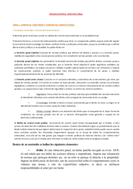 apuntes penal.pdf