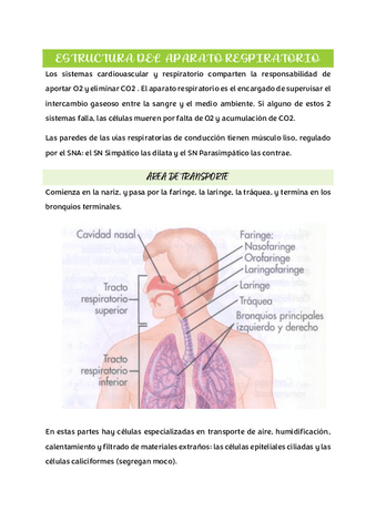 U6-Aparato-Respiratorio.pdf