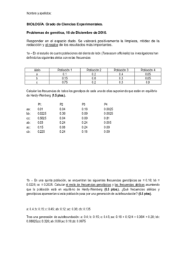 ExamenProblemasDiciembre2016_def.pdf