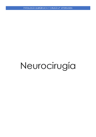 Neurocirugia.pdf