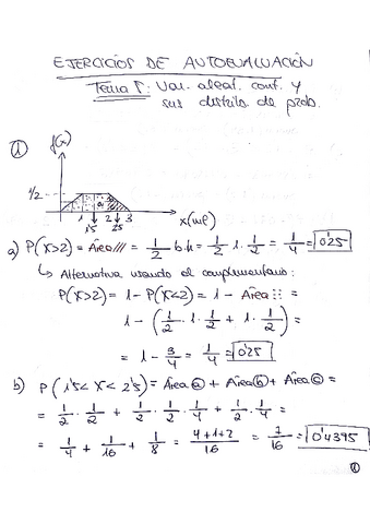 Tema-5-Ejercicios-Autoevresuelto.pdf