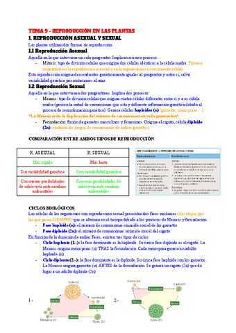 TEMA-9-REPRODUCCION-EN-LAS-PLANTAS.pdf