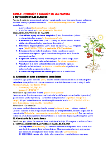 TEMA-8-NUTRICION-Y-RELACION-EN-LAS-PLANTAS.pdf