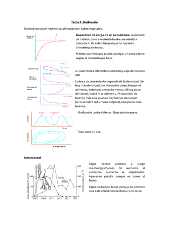 Tema-7.Herviboria.pdf